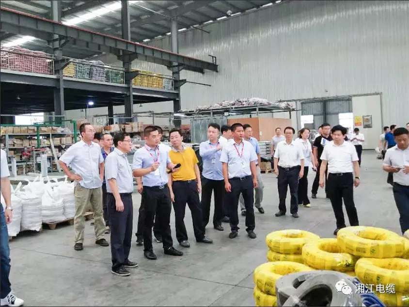 湖南省副省長(zhǎng)陳文浩一行蒞臨湘江電纜考察指導(dǎo)工作